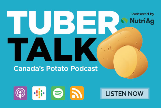 Podcast: Challenging what we know about nutrient use efficiency in potatoes